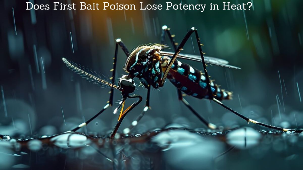 does first bait poison lose potency in heat