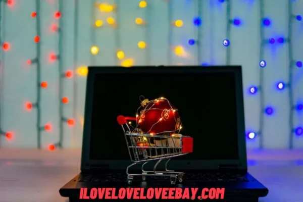 iloveloveloveebay.com